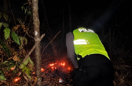 Polisi Selidiki Penyebab Kebakaran Lahan di Sadang