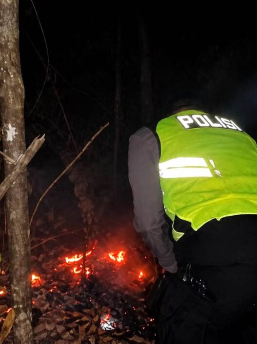 Polisi Selidiki Penyebab Kebakaran Lahan di Sadang