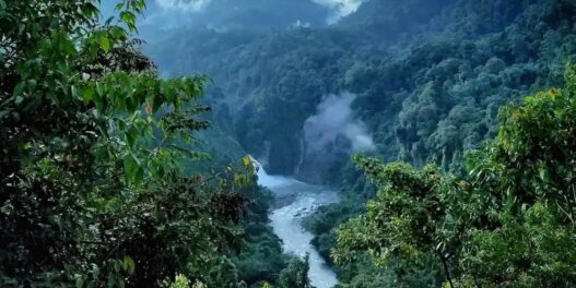 Rekomendasi Tempat Asri Untuk Liburan