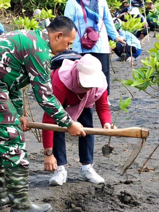 Tanam Mangrove dan Kopi Liberika di Pantai Sodong
