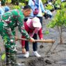 Tanam Mangrove dan Kopi Liberika di Pantai Sodong