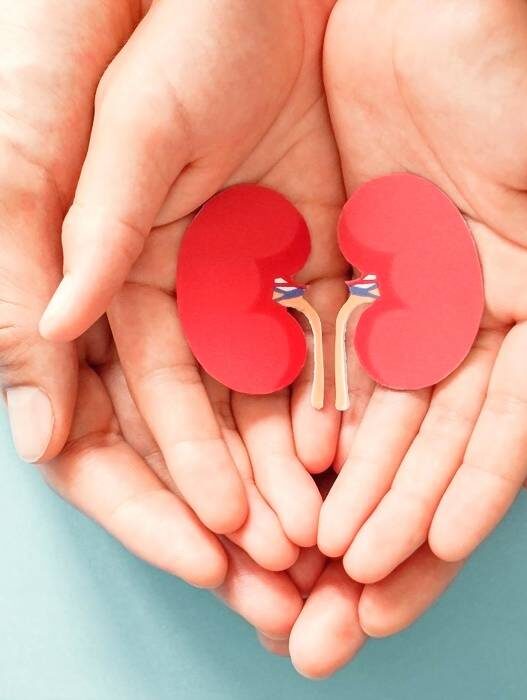 Tanda Kesehatan Ginjal Dari Pola Minum Air Putih