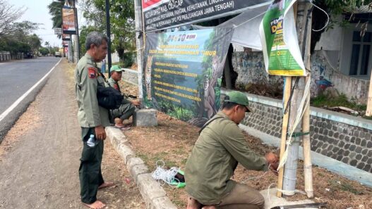 Tiga Satwa Dilindungi Dilepasliarkan