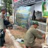 Tiga Satwa Dilindungi Dilepasliarkan
